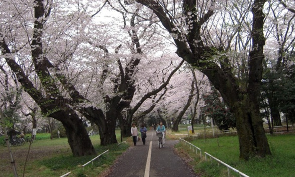 多磨全生園（東京都）
