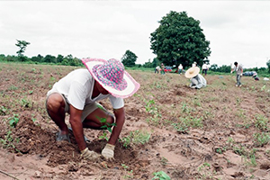 好善社ワークキャンプの写真