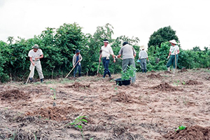 好善社ワークキャンプの写真